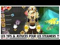 DOFUS TOUCH - STEAMER TUTO & ASTUCES ?! (ft. VAPO)