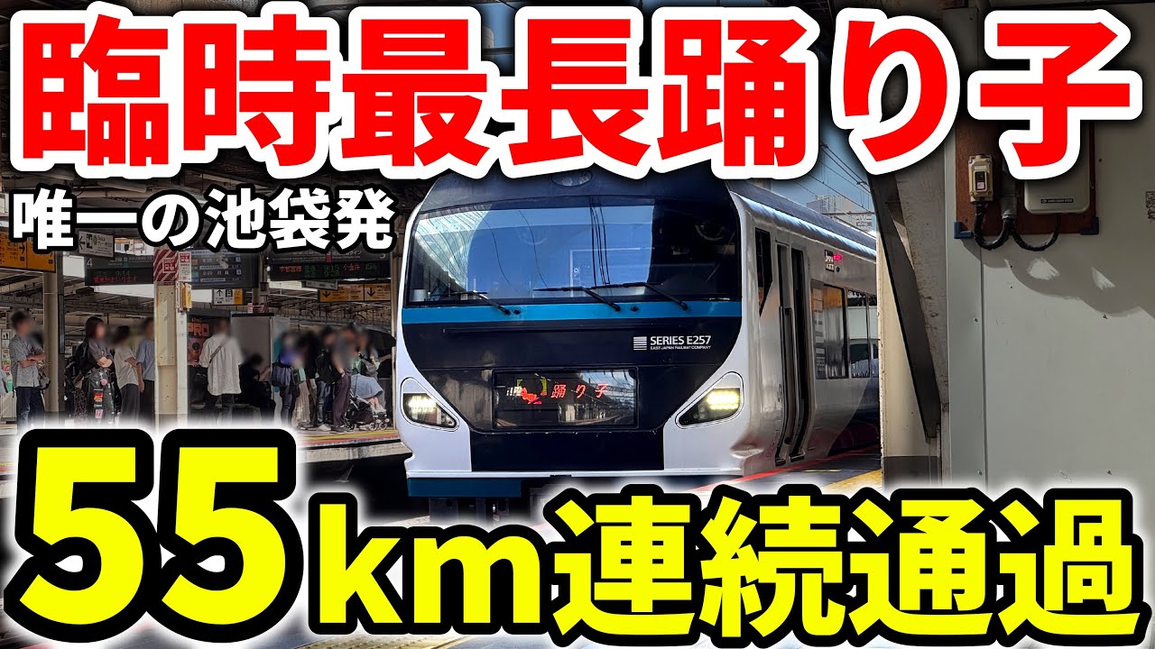【1日1本】唯一の池袋発着！最長距離を走る俊足特急踊り子に乗車！　特急踊り子3号　　　#特急踊り子 #東海道線 #特急踊り子3号 #伊豆急行線 #伊東線 #特急 #特急列車 