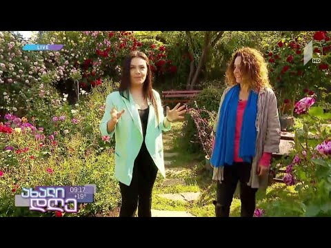 #ახალიდღე „ვარდების ფესტივალი“