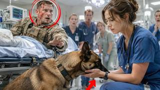 Don't Touch Him—He'll Attack! the SEAL Warned—Then His K9 Chose the ER Nurse.