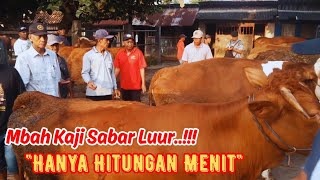 Download Lagu MBAH KAJI NGAMUK HITUNGAN MENIT SAPI LEMON LUDES DIBORONG‼️PASAR SAPI JETIS PONOROGO MP3