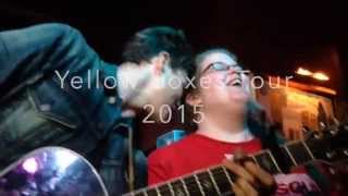 Tyler Ward - Yellow Boxes Tour (US Part) Better