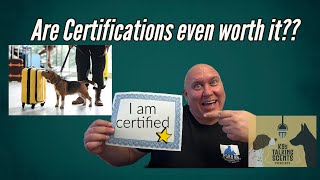Are K9 Certifications Really Worth It??