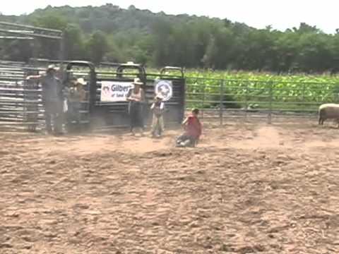 Several kids riding mutton at the Little Britches Wisconsin Rodeo, at HHH Enterprises, HHH Equestrian center, Dallas Wisconsin