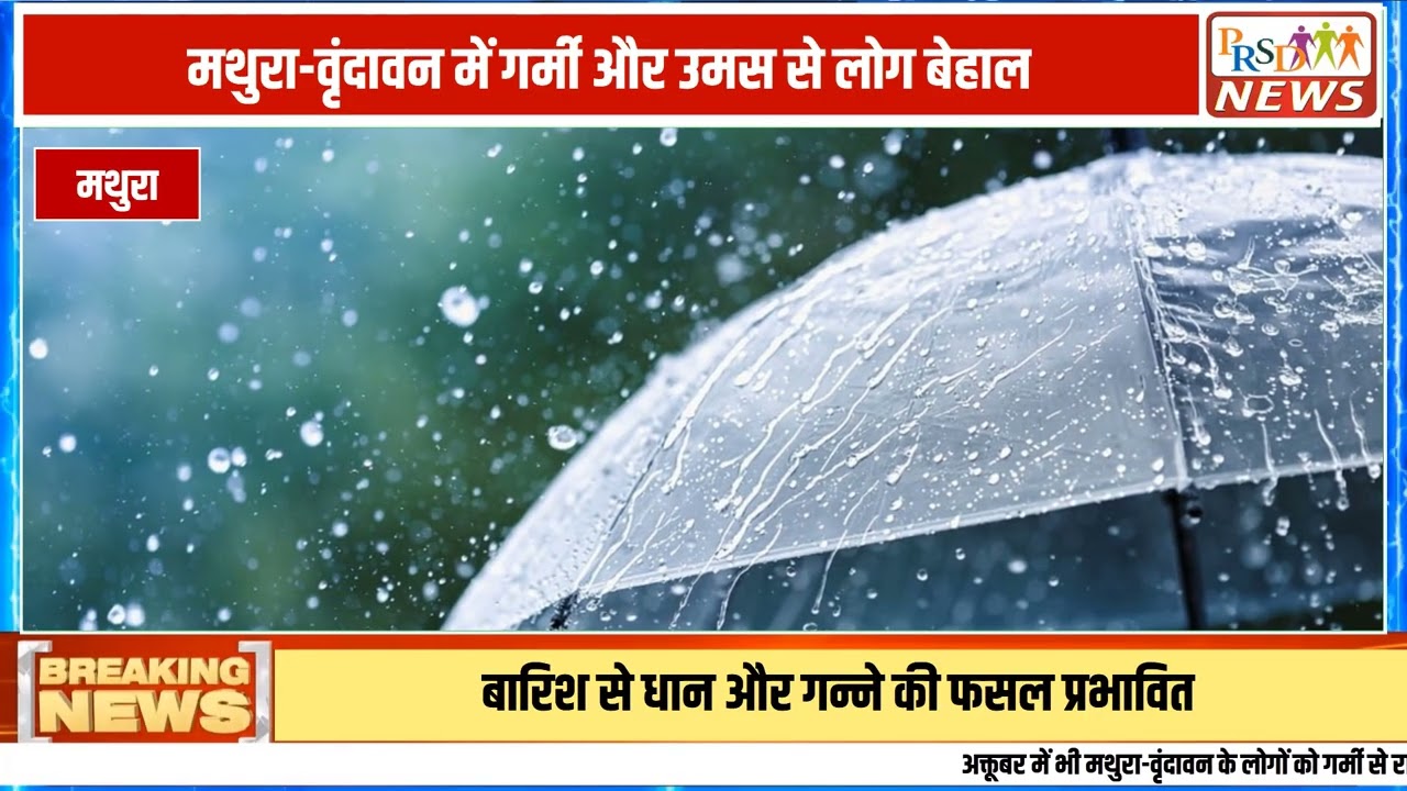 उत्तर प्रदेश में मौसम का मिजाज लगातार बदल रहा है। राज्य में भीषण गर्मी और उमस से लोग बेहाल हैं, जहां मथुरा यूपी का सबसे गर्म शहर दर्ज किया गया है। आज भी दिन भर तेज धूप और उमस भरी गर्मी का असर बना रहेगा।
#UPWeather #WeatherUpdate #Mathura #RainAlert #UPNews #WeatherForecast #BreakingNews #LatestNews #hindinewsJoin this channel to get access to perks:
https://www.youtube.com/channel/UCmJvPHUoYu0PdWDX4CQCZ8Q/joinPRSD News एक विश्वसनीय और लोकप्रिय समाचार चैनल है जो पैन इंडिया और उत्तर प्रदेश के बारे में दैनिक अपडेट प्रदान करता है। यह एक पंजीकृत मीडिया नेटवर्क है जो राजनीति, मनोरंजन, खेल, शिक्षा, महानगरों और अन्य विषयों से संबंधित 24/7 ब्रेकिंग न्यूज़, विश्लेषण और कहानियां प्रदान करता है। विश्वसनीय और अद्यतन समाचार प्रदान करने के माध्यम से, PRSD News आपके समाचार की सभी आवश्यकताओं के लिए एक स्टॉप शॉप है। आप उनके चैनल को सब्सक्राइब कर सकते हैं ताकि आप उत्तर प्रदेश और भारत की नवीनतम समाचारों से अवगत रह सकें।
PRSD News is a credible and popular news channel providing daily updates about Pan India and Uttar Pradesh. It is a registered media network that delivers 24/7 breaking news, analysis, and stories related to politics, entertainment, sports, education, major cities, and more. With a focus on providing trustworthy and up-to-date news, PRSD News is a one-stop-shop for all your news needs. You can subscribe to their channel to stay up-to-date on the latest news about Uttar Pradesh and India.
Your trusted source for daily news updates!
Stay informed with PRSD News!
Breaking news at your fingertips!
Always up-to-date with PRSD News!
Your go-to news channel for the latest updates!
Bringing you the news that matters!
News you can trust from PRSD News!
Get the inside scoop with PRSD News!
Your daily dose of news, only on PRSD News!
Where news comes first - PRSD News!Thank You 👍
Follow Me Us 👇👇👇👇👇
🔹 Website- https://www.prsdnews.in🔹 YouTube- https://www.youtube.com/channel/UCmJvPHUoYu0PdWDX4CQCZ8Q🔹 Facebook Page- https://www.facebook.com/profile.php?id=100069216887013🔹 Instagram- https://www.instagram.com/prsdnews/🔹 Twitter- https://twitter.com/NewsPrsd
#PRSDNews #UttarPradeshNews #PanIndiaNews #Politics #Entertainment #Sports #Education #BreakingNews #Analysis #Stories #CurrentAffairs #Headlines #IndiaNews #RegionalNews #HindiNews #UPNews #RegistredMediaNetwork #TrustworthyNews #CredibleNews #PopularNews #24x7News #LatestNews #TopNews #NewsUpdates #DailyNews #NewsChannel #NewsNetworkTopic Covered In This Video:
