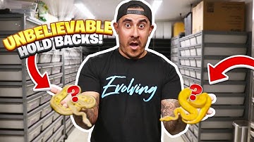 New Snakes and All of My Holdbacks!