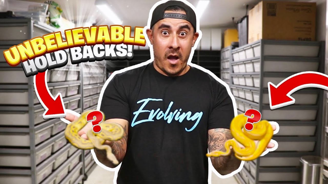 Snake Holdbacks New Snakes and All of My Holdbacks! - YouTube