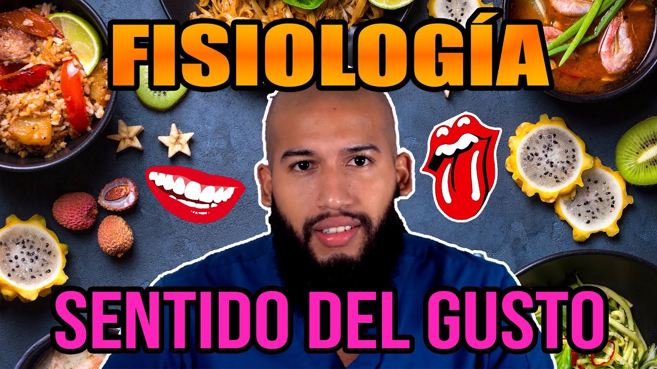 FISIOLOGÍA del GUSTO - ¿Cómo DIFERENCIAMOS un SABOR de otro? (Papilas, Yemas Gustativas y MÁS)