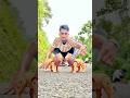 Non-remote control to lions unboxing #shorts #ytshorts