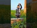 farming reels #shortsfeed #edit #explore #nature #kisan #dailylife #shortsviral #new #trending