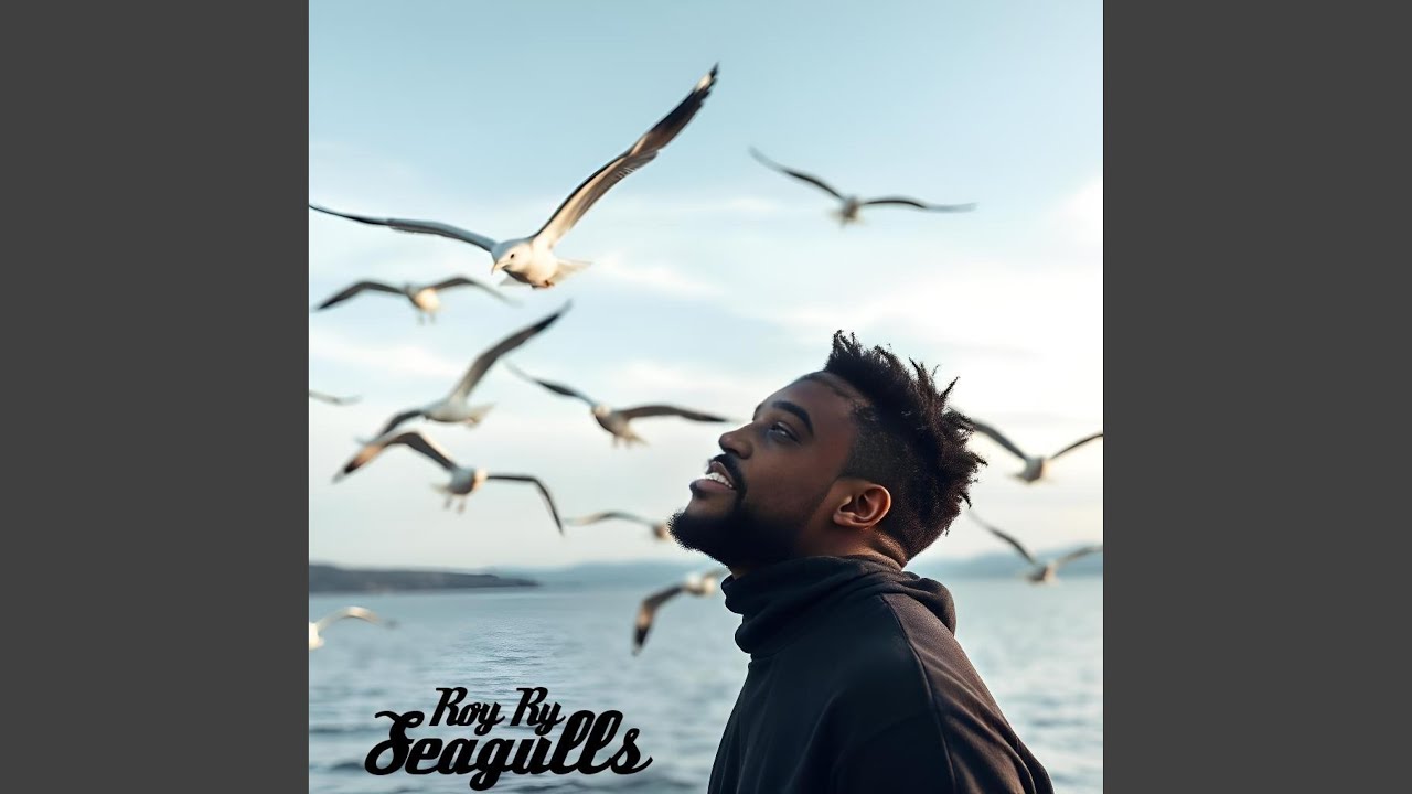 在 YouTube 上观看 Seagulls