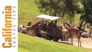 Veronica hill tours san diego wild animal park — recently renamed
the zoo safari in this episode of "california travel tips." ...