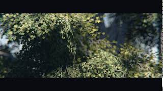 Unity Speedtree rendered with Deckard Render