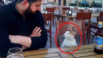 Als je met een extraverte kat samenwoont 🐱