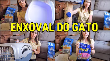 O que precisa comprar para um gato filhote?
