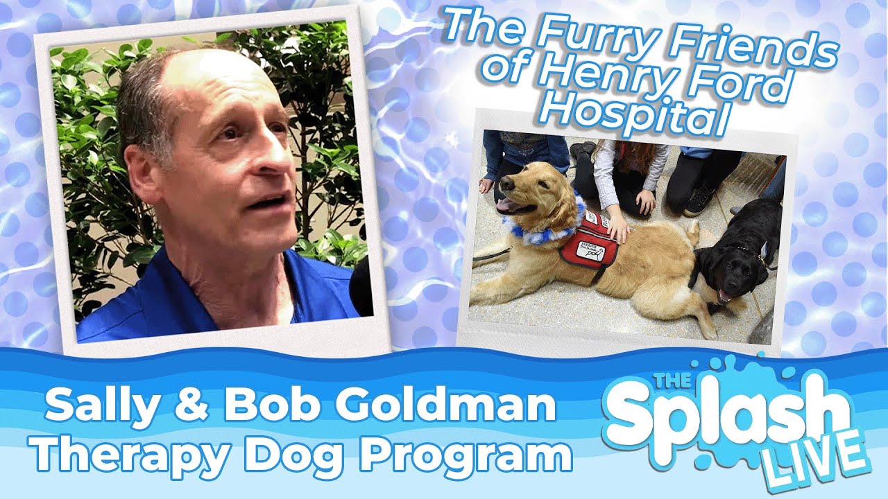 Therapy Dogs Lift Spirits at Henry Ford West Bloomfield Hospital! - YouTube