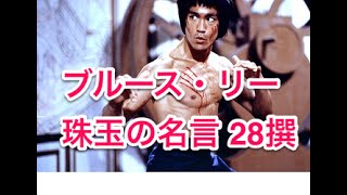 ブルース リーが遺した28の名言 事情なんてクソ喰らえだ オレはチャンスを創る Youtube