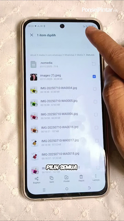 Cara hapus file tersembunyi yang menumpuk di WhatsApp #tutorial #tipsdantrik #trikandroid #android