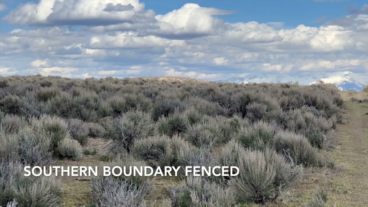 40 Acres with Dirt Road Access - Elko County, NV