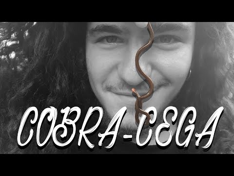 Dreherlogia - cobra-cega é anfíbio ou réptil? (Trilepida sp.)