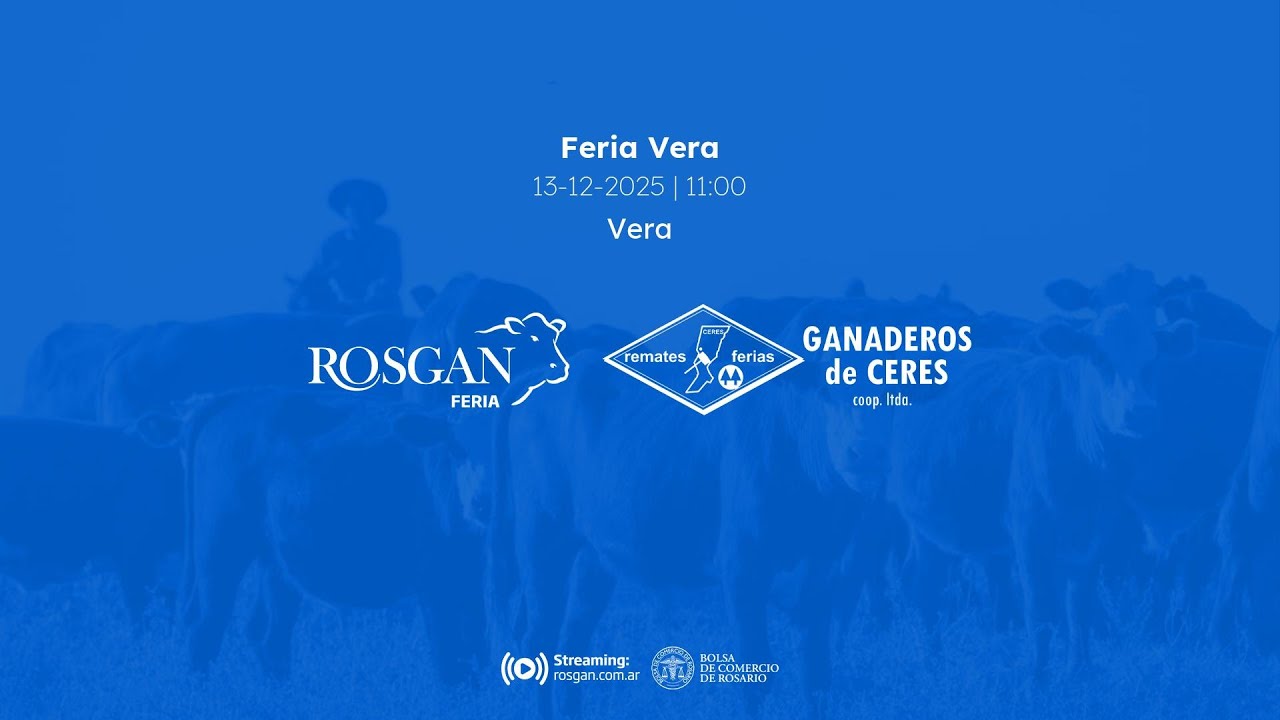 Feria Vera | Vera