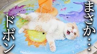 ついにプールの季節がやってきました...