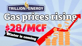 Trillion Energy: BOTAS vs Turkish gas price $28/MCF by FamFunFinFree 704 views 1 year ago 2 minutes, 20 seconds