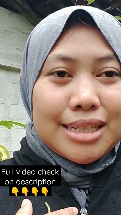 Mitos Mengenai Bunga Kenanga|| Anggota Kembang Telon || Kembang Kenongo #short