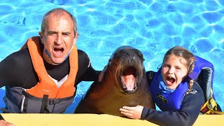 Swim With Sea Lions at Rancho Texas Lanzarote Park, Canary Islands, Spain