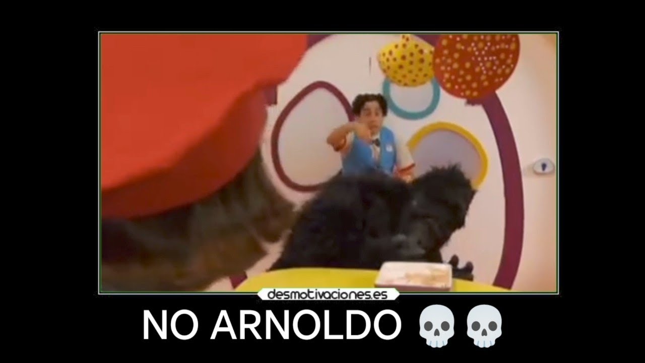 NO ARNOLDO💀💀 / Momento XD / Junior Express / Marctube