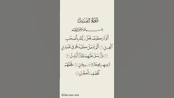 سورة الفيل / القارئ ماهر المعيقلي #القرآن_الكريم #اكسبلور #المصحف