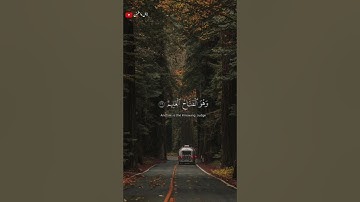 تلاوة خاشعة للشيخ بدر التركي 🎧❤️🩹 #أرح_سمعك_وقلبك #اكسبلور #طمئن_قلبك #بدر_التركي #راحة_نفسية
