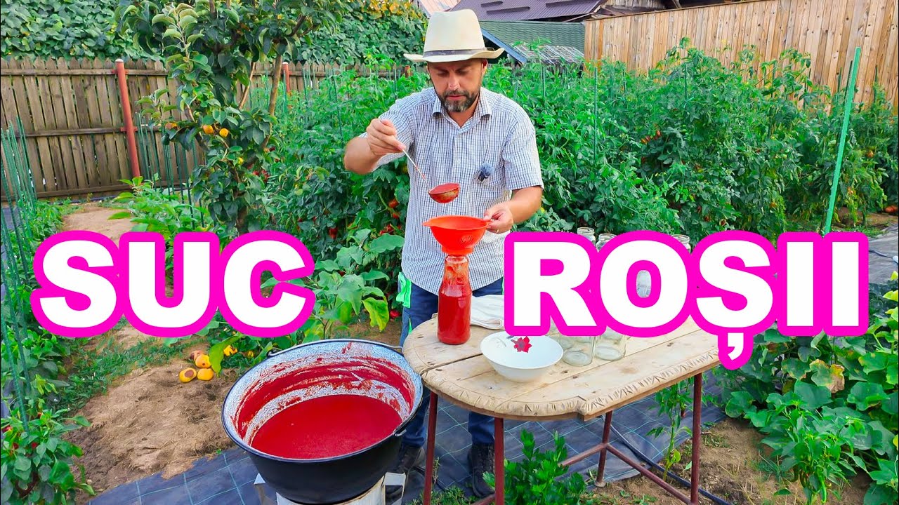 REȚETĂ TRADIȚIONALĂ DE SUC DE ROȘII FĂRĂ CONSERVANȚI. SUC DE ROȘII LA FOC DE LEMNE