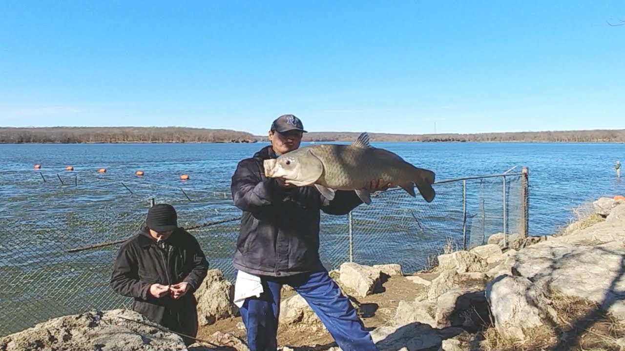 Catching BIG Fish From The Bank. EP 116 YouTube