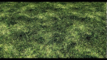 ZeroOne Grass Shader Experiment Phase 2 Part 1 - Blade Height Version2