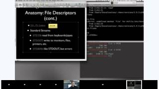 Working with Unix Processes