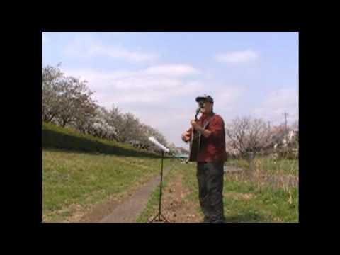 Andy の野川桜ライブ 2011 　コブクロさんの 「桜」