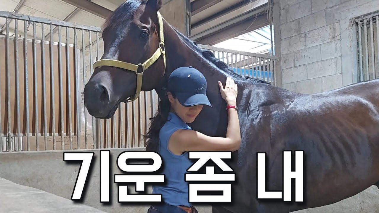 나를 가장 당황스럽게 하는 경주마