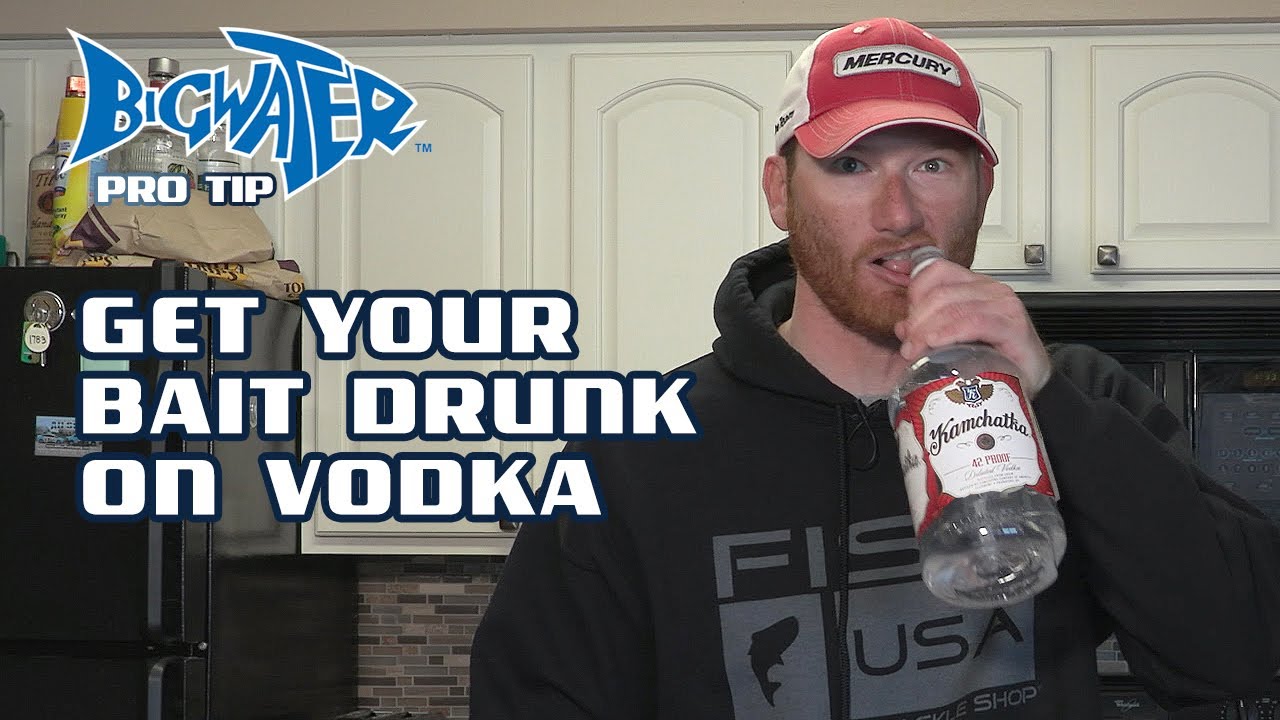 Drunken Minnows - Use Vodka To Preserve Your Minnows and Catch More Walleye  and Perch 