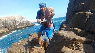 PESCA de PEJESAPOS en la ROCAS del Mar