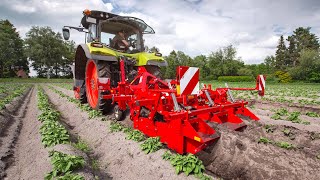 Grimme Gh 2 Eco Ridging Hiller For Mechanical Weed Control