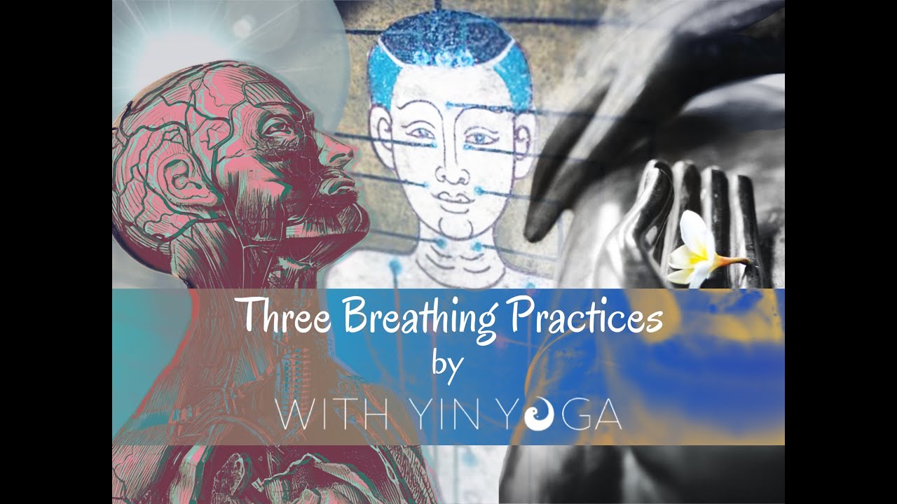 Three Breathing Practices “Yin Pranayama”( English version 🇬🇧 ) YouTube