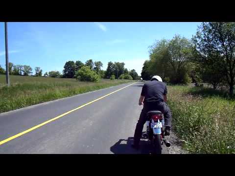 Video 1959 BSA B33 Cafe Racer - youtube