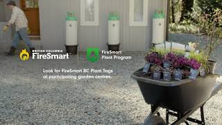 FireSmart BC Plant Program: Propane Planters