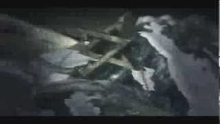 DZ Imagery 2 in1 | Raised