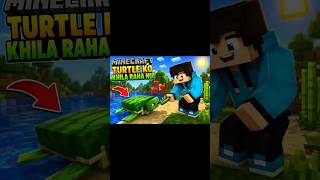 Minecraft Turtle Ko Khilaya Aur Ye Hua! 😱🐢 #shortsfeed #minecraft #gaming