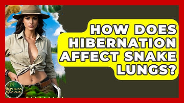 How Does Hibernation Affect Snake Lungs? - Reptilian Wonders