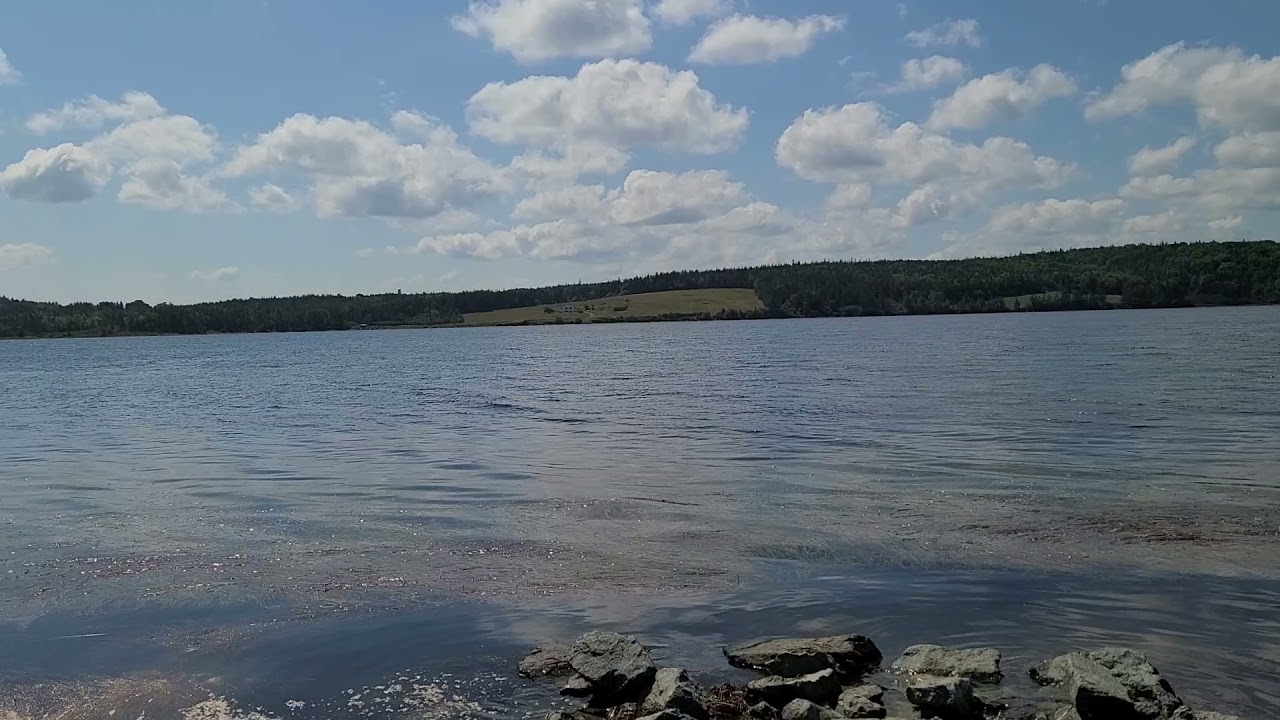 12699 Hwy 4, Soldiers Cove (shoreline) YouTube