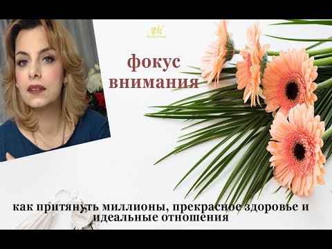 сила фокуса. как притянуть миллионы, здоровье и идеальные отношения