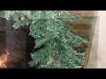 End of video